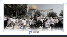 عشرات المستوطنين يقتحمون الأقصى ويؤدون طقوسًا تلمودية في باحاته